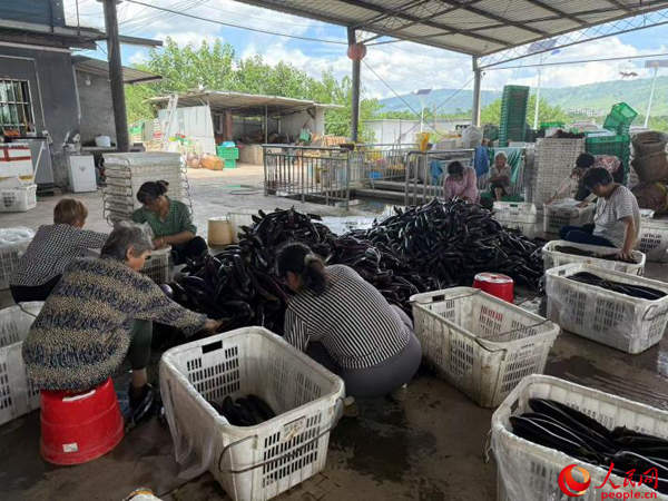 数据“跑”起来 金融活水精准“滴灌”小微企业