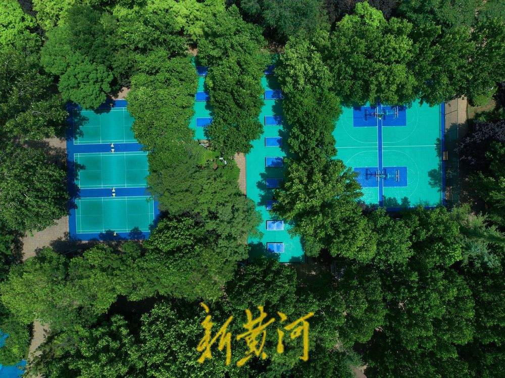 雨后济南森林公园满眼翠绿惹人醉