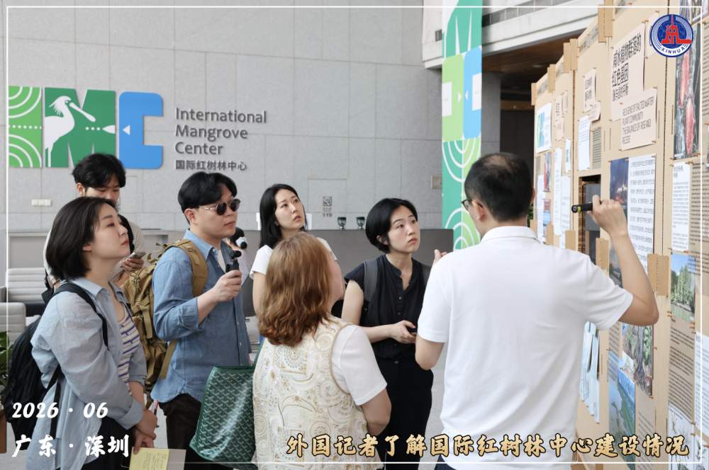镜观·回响｜守护红树林 中国在行动
