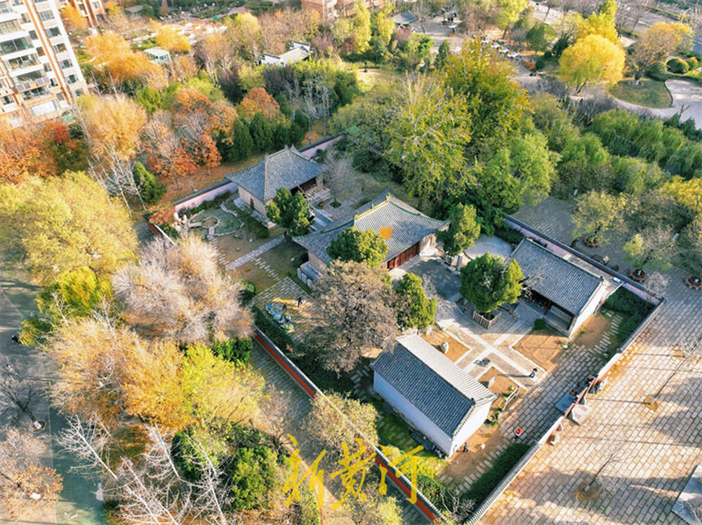 济南兴福寺公园呈现多彩冬景，绚烂如画