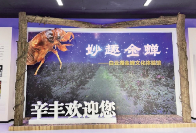 济南乡村变形记——创新模式“大显神通”，共赴振兴“好光景”