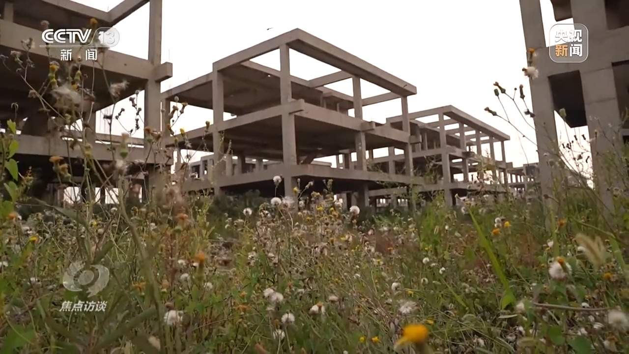 招商地块成“烫手山芋”？如何“唤醒”闲置土地？记者调查