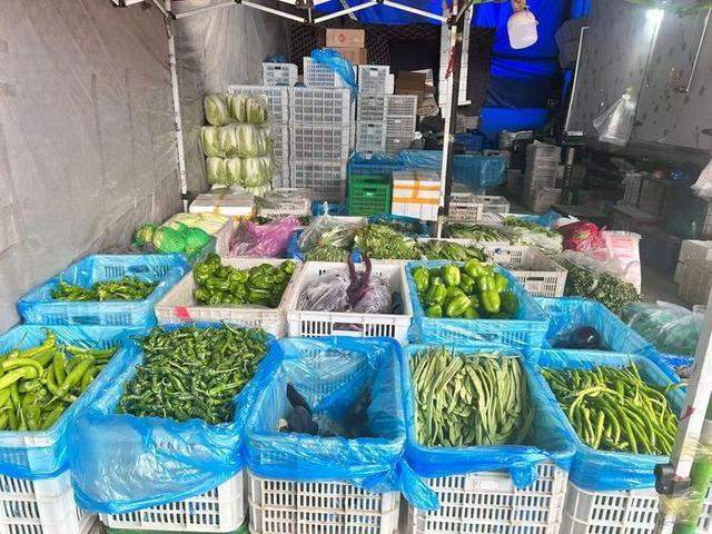 28种蔬菜均价较上周下降5.8% 济南蔬菜供应量稳价跌