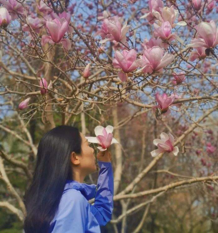 一城春色半城花！济南九大公园藏着这些爆款花景