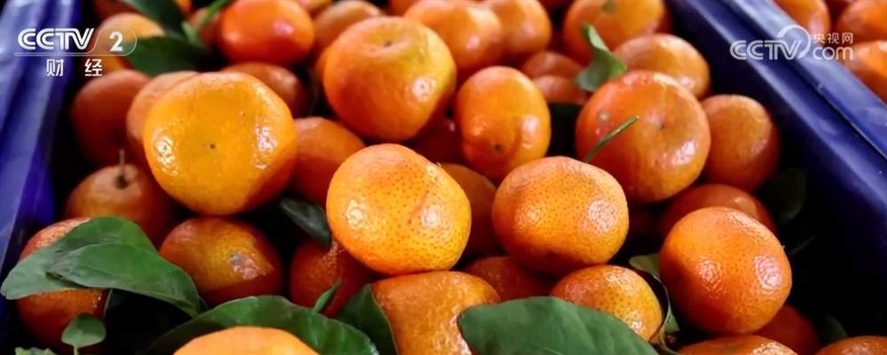 年货市场琳琅满目、供销两旺 消费掀“热”潮展现新年新气象