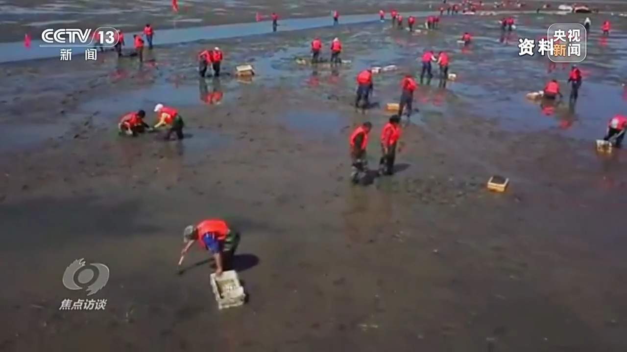 焦点访谈丨保护海洋生态 守好人海和谐的蓝色家园