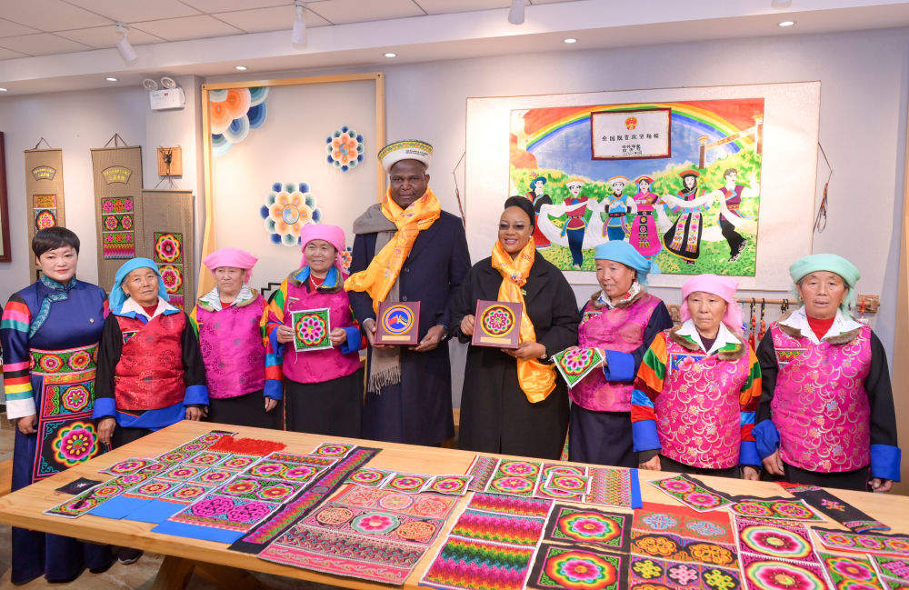 特写：莫桑比克总统探访青海乡村