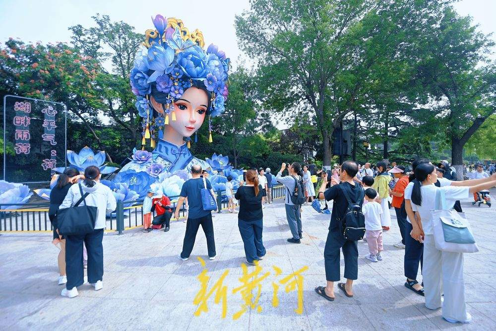 “会说话+有荷香”！泉城“湖畔雨荷”2.0迁新居热度不减