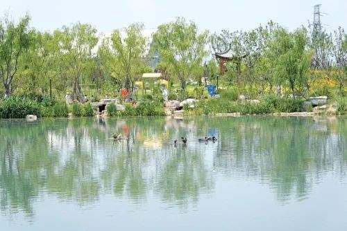 千年“灵”泉展新姿