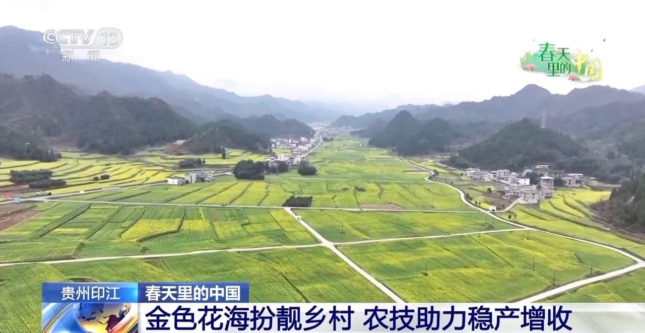 各地春日赏花有哪些好去处？请看这份赏花攻略