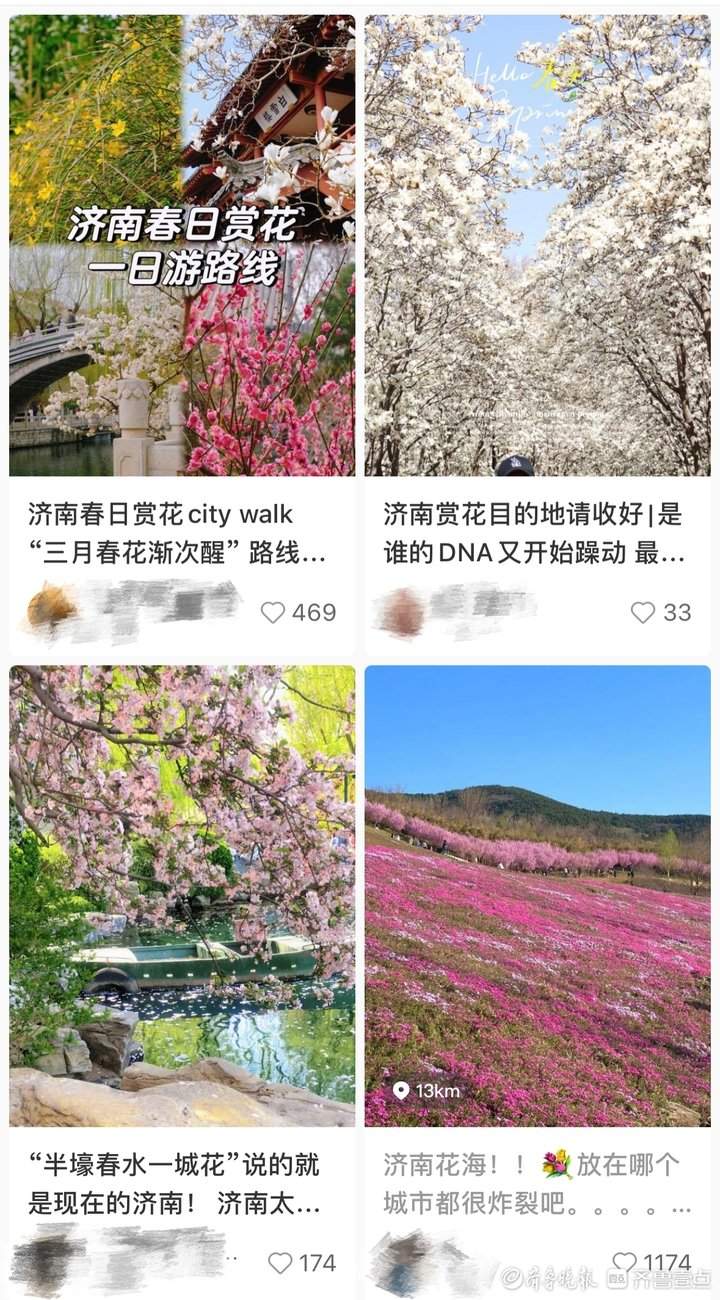 满园春色关不住，济南“赏花经济”迎来热潮