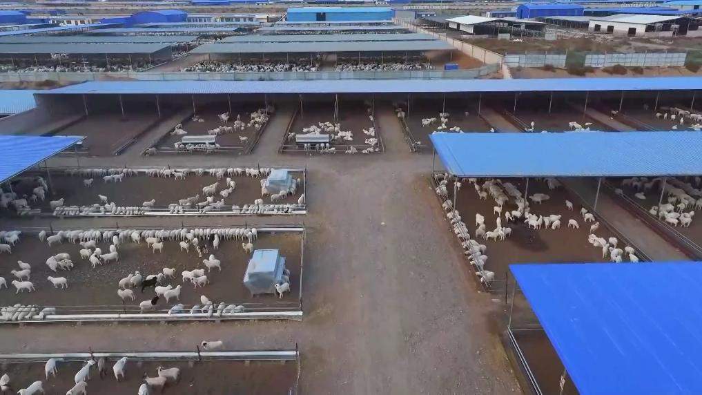 新华视点丨扎根乡土办实事 共筑和美新乡村