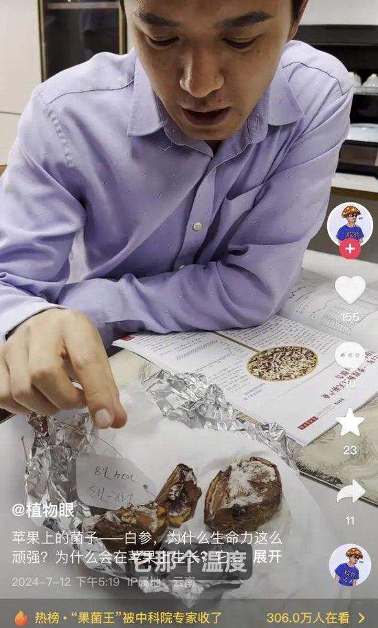 长蘑菇的苹果意外成网红,专家:这菌子能吃!