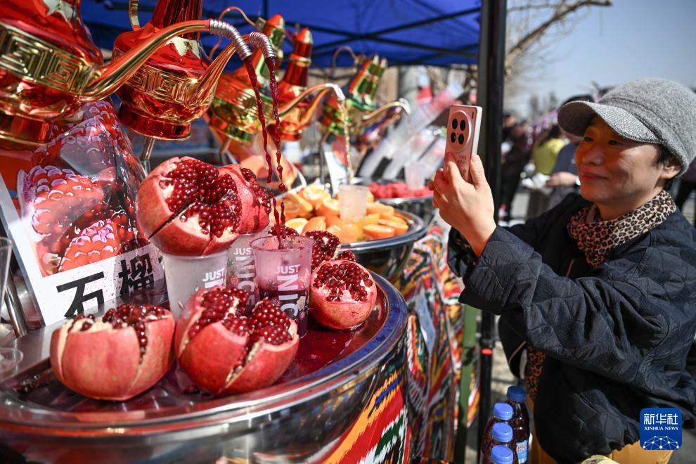 新疆吐鲁番：赴一场杏花之约