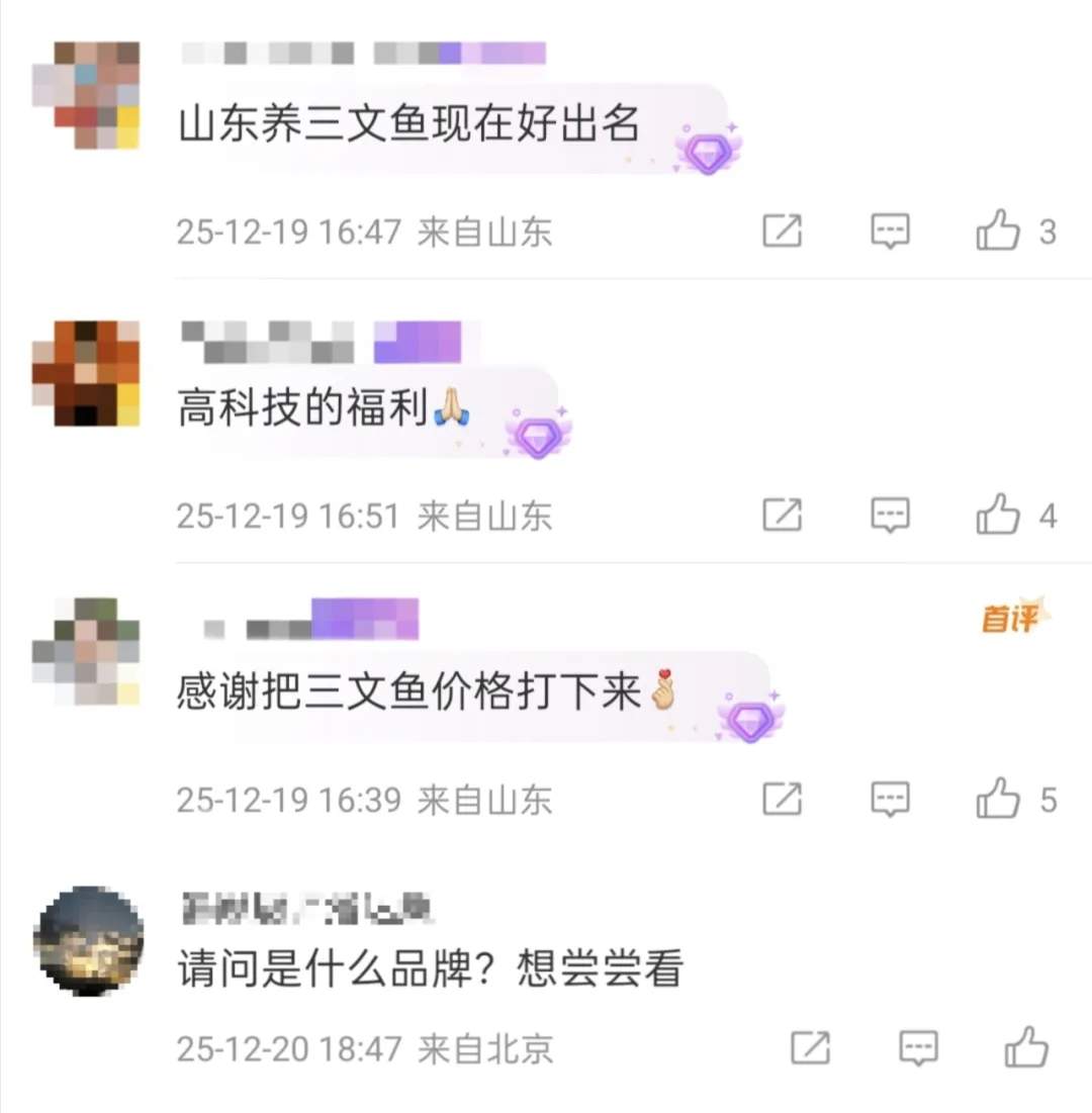 三文鱼的价格打下来了？追更《海洋牧场转场记》