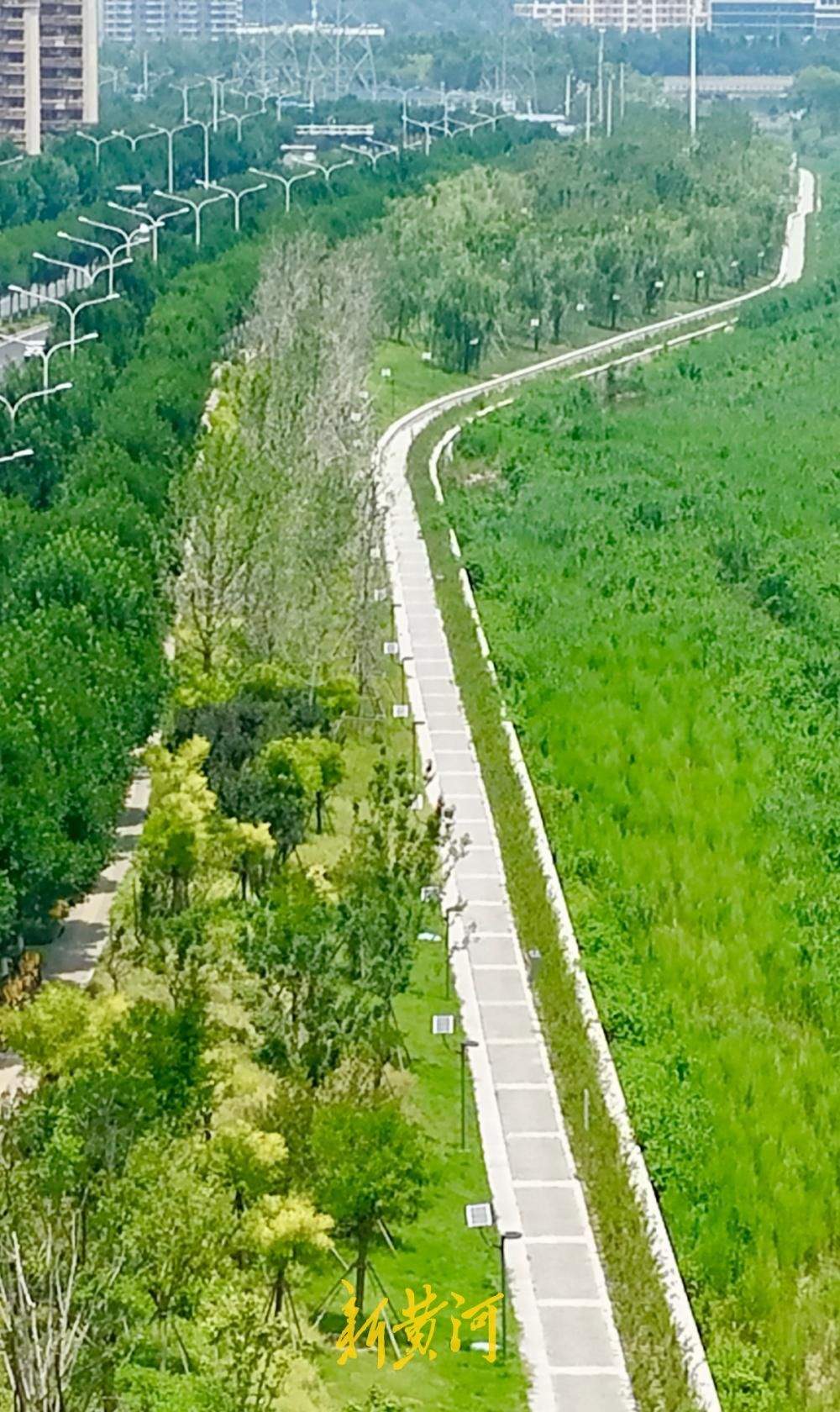 济南：奥体西路旁大辛河两岸景观改造提升开放