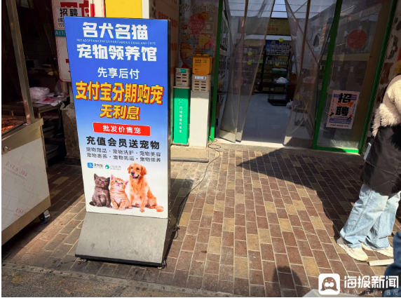 “免费”变“分期”?宠物店暗藏“猫贷”陷阱