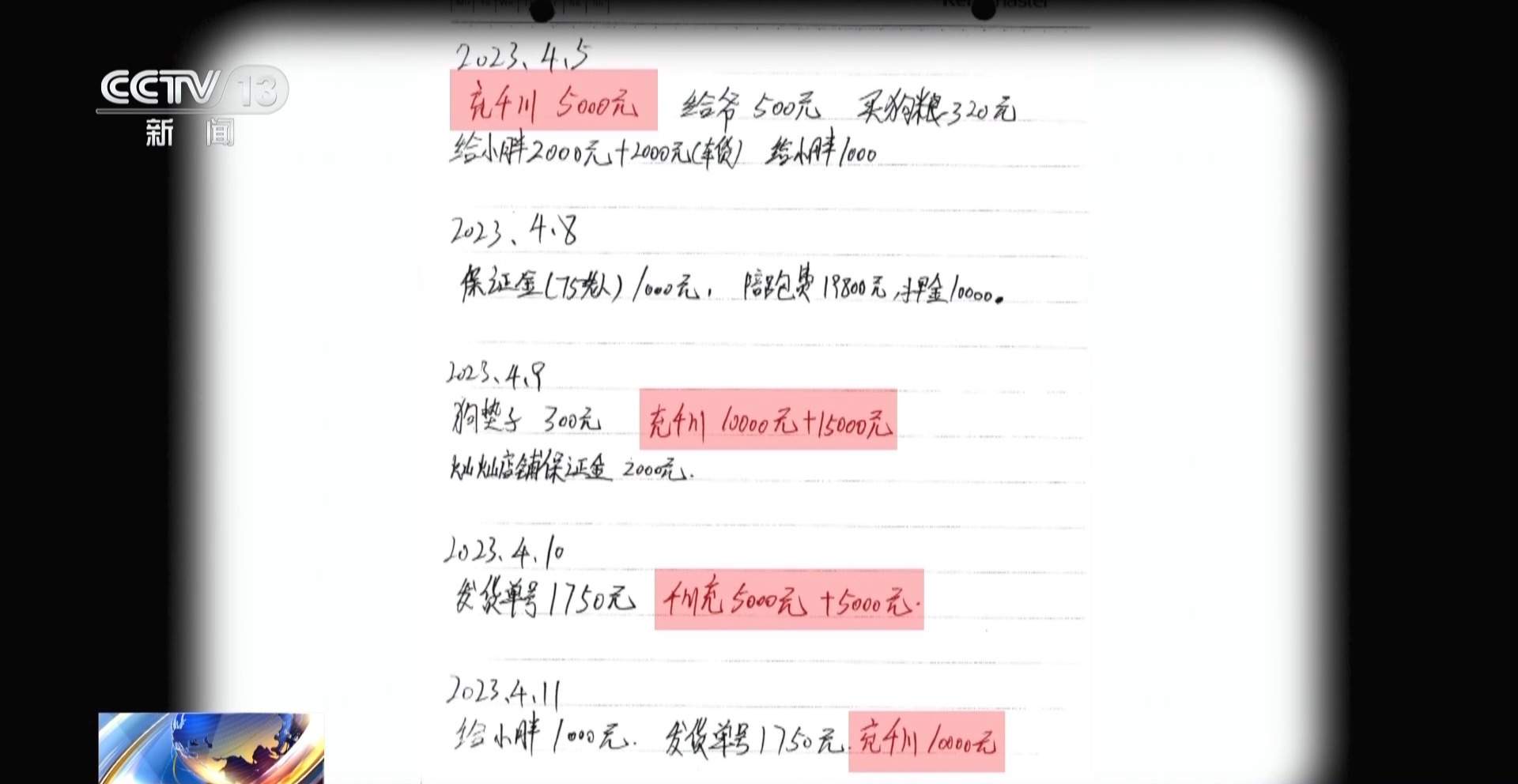 骗250万善款仅3000元用在狗身上 起底流浪动物网络救助骗局