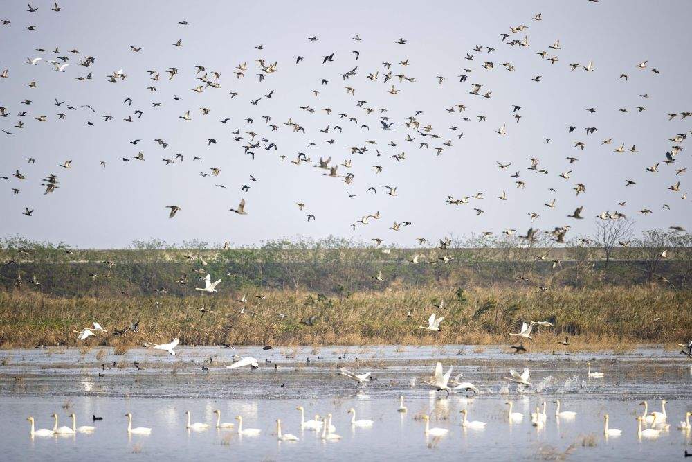 文明薪火 山河印记——文化和自然遗产保护一线观察
