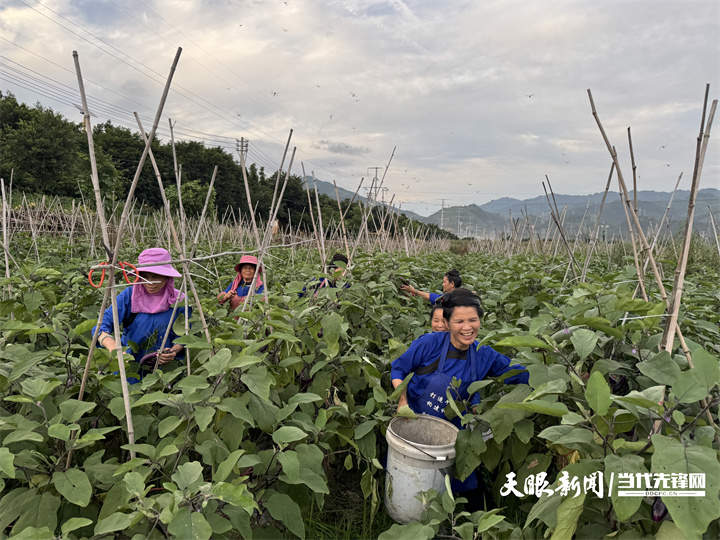 他们，用足球“接”住了自己的春天