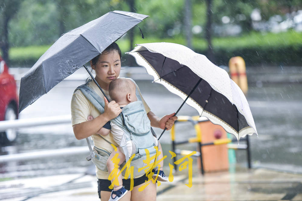 半城风雨半城晴，济南连续三天出现分散性降雨