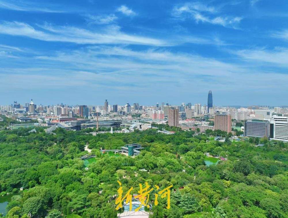 一年四季 泉在济南｜初秋泉城晴空万里，绿树成荫太美了