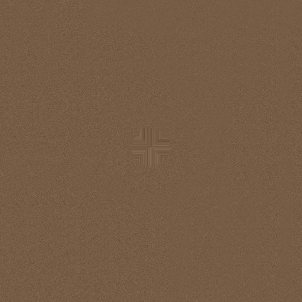 学习新语·中华文明｜兼收并蓄的文化自信