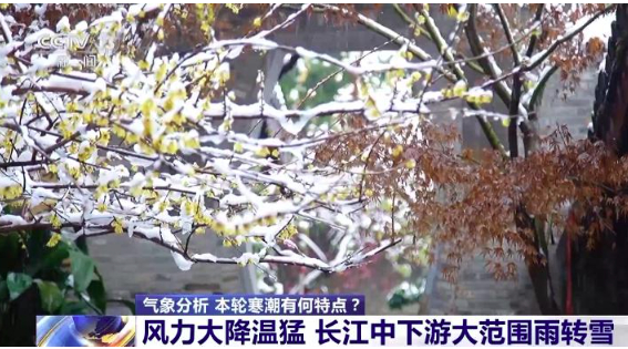 什么是“烂暴雪” 这轮寒潮有何特点