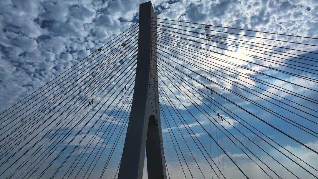 项目强省会｜桥上来了“蜘蛛人” 奏响济南黄河公路大桥奋进曲