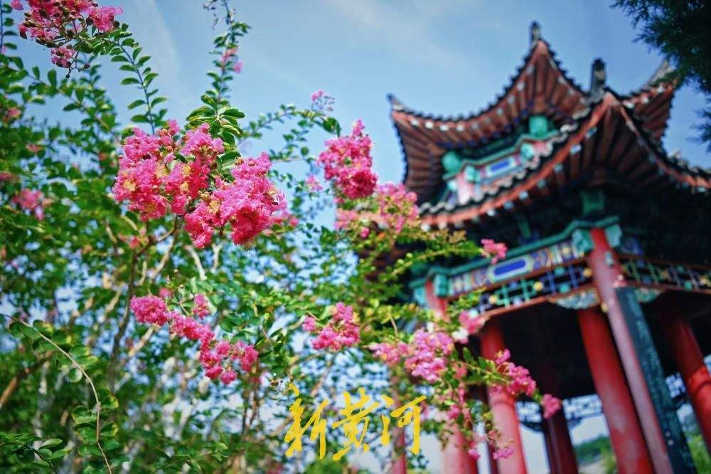 夏花未谢秋正好，大明湖得月亭繁花似锦
