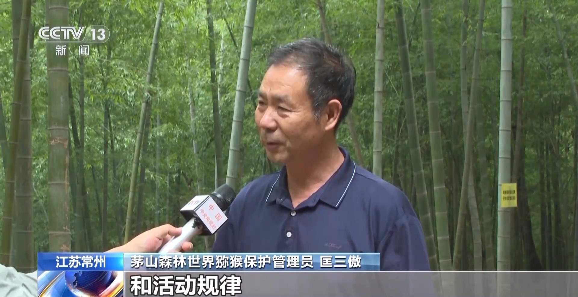 江苏一景区“月均6万元收编泼猴”引关注 “人猴冲突”如何解决?