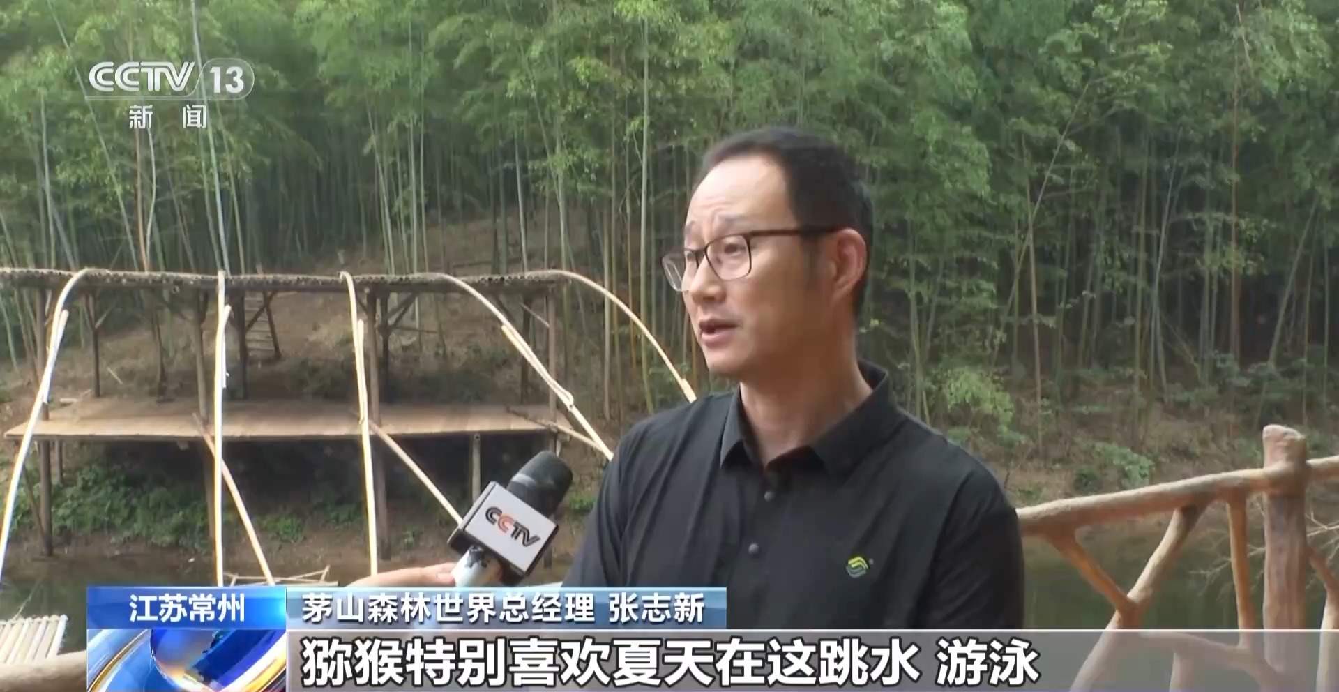 江苏一景区“月均6万元收编泼猴”引关注 “人猴冲突”如何解决?