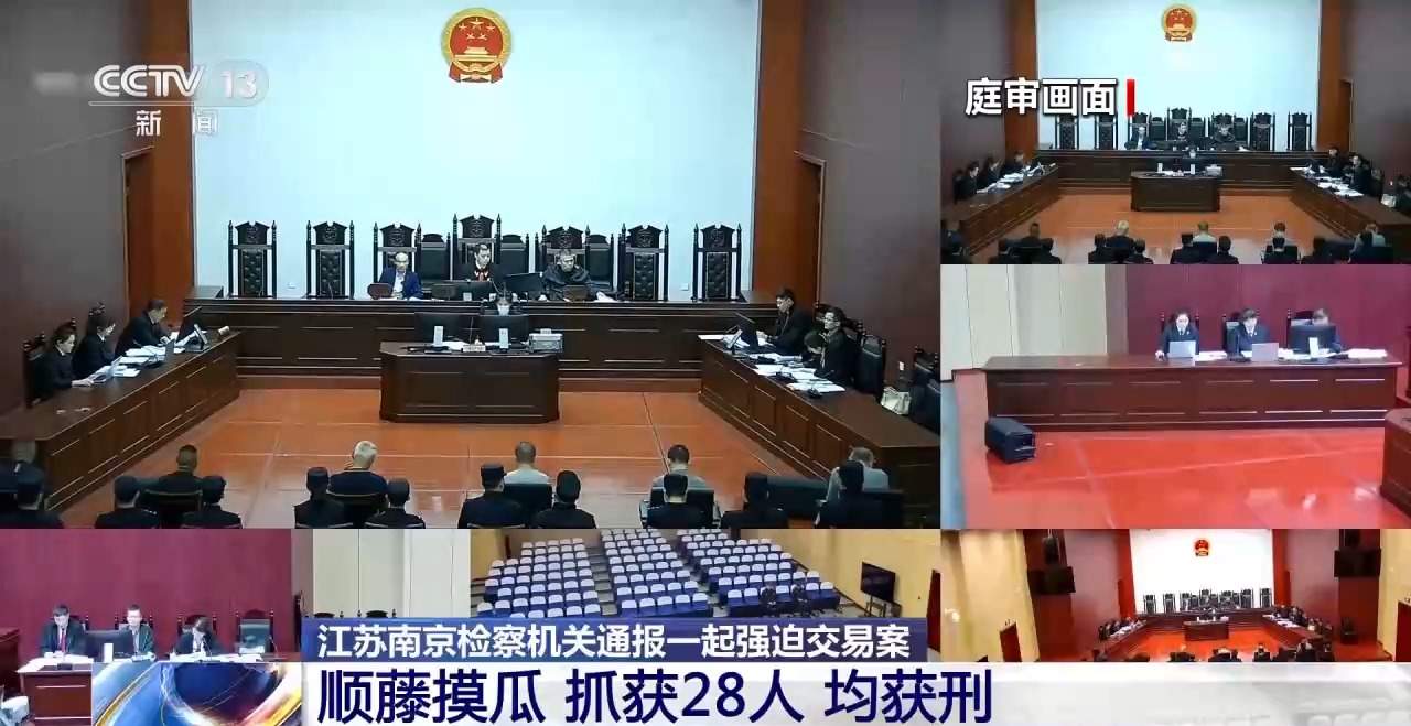 谐音设局+强买强卖 售卖假鹿茸犯罪团伙28人全部获刑