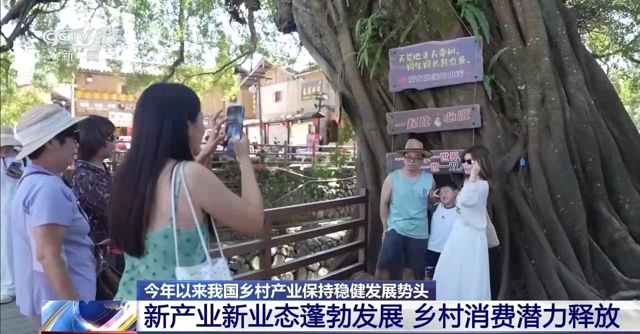 今年以来我国乡村产业保持稳健发展势头