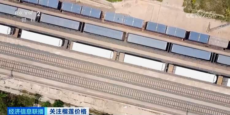 榴莲多年来最低价的背后是这些原因