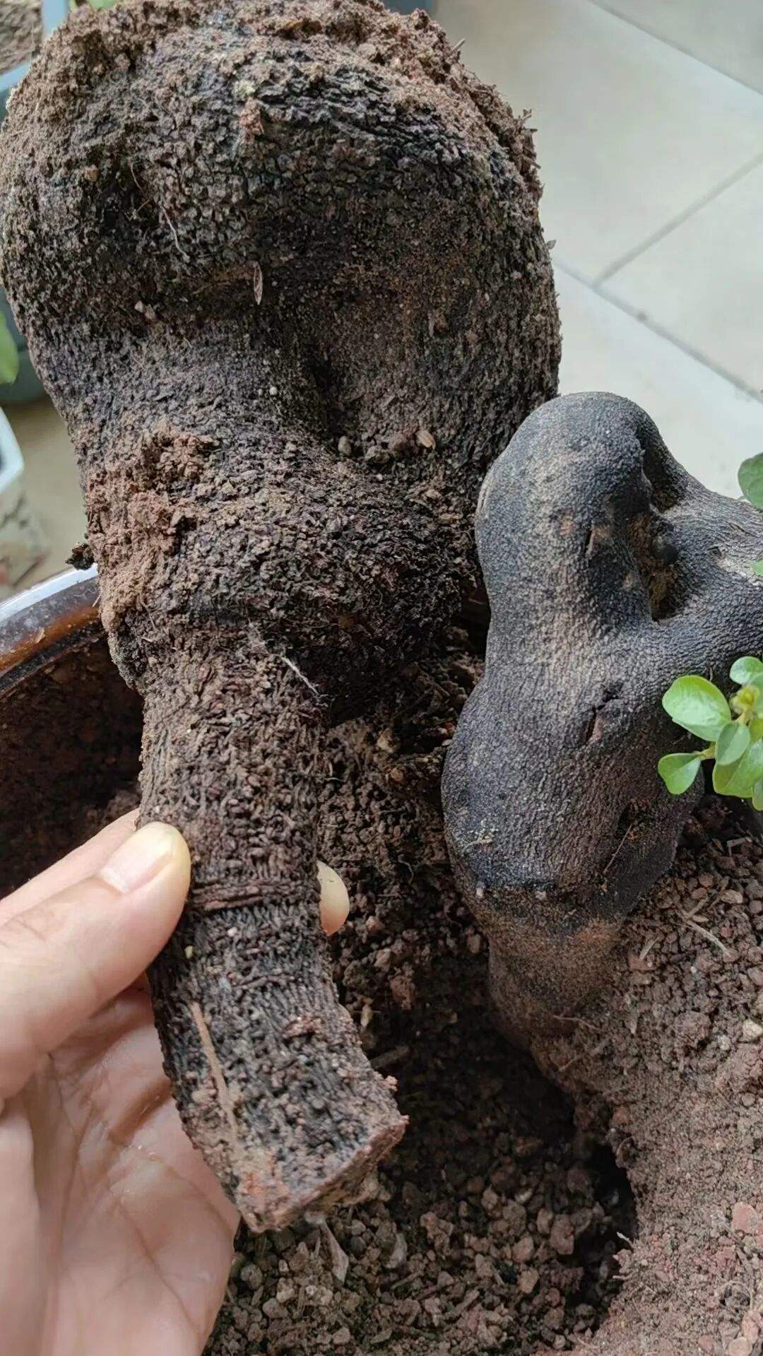 直播间购物货不对板竟被拉黑！消委会求助公安部门找到商家