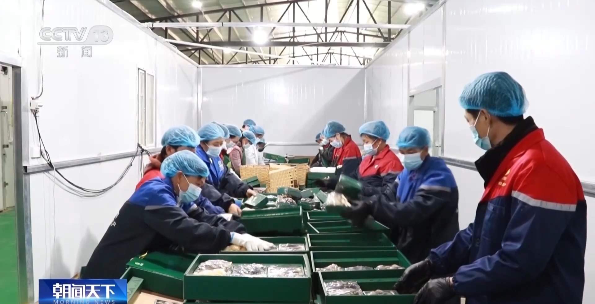 从“外出务工”到“就近就业” 农民工就业渠道更加多元