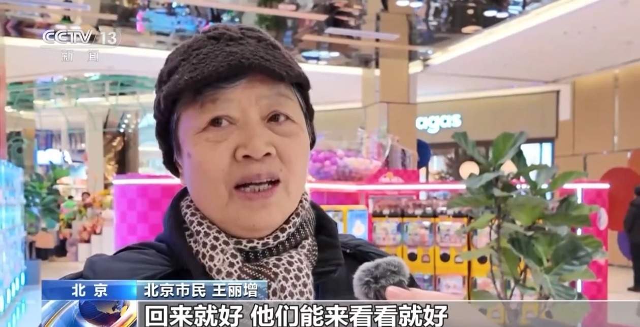 机票、葫芦丝、冰鞋……思路打开！年货可以这样备