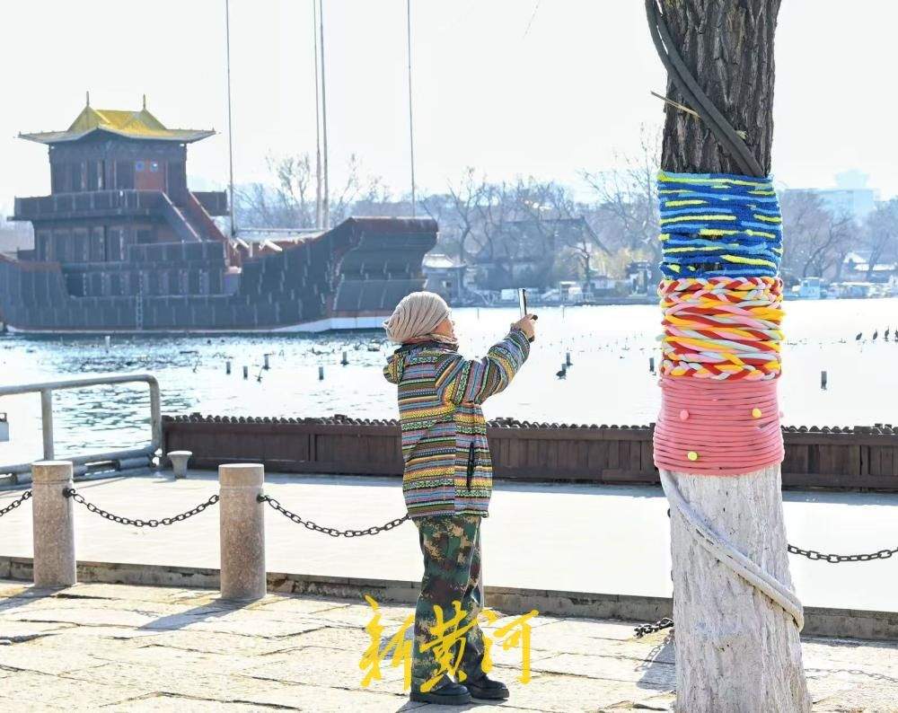 济南大明湖冬柳穿新衣！色彩斑斓织出多彩冬天