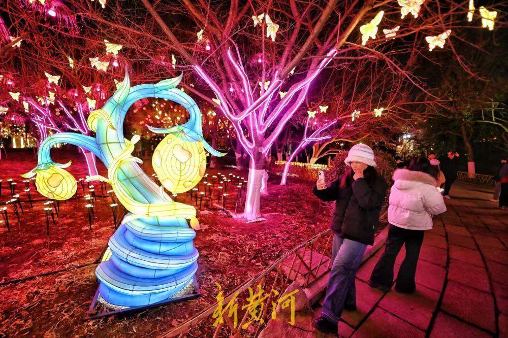 泉城年味渐浓 五龙潭花灯悄然点亮