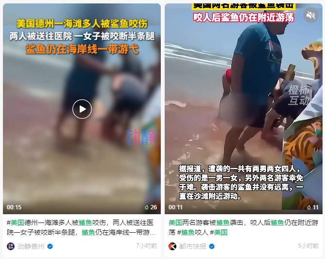 真相大白！惠州双月湾有鲨鱼咬人?假的 广东网友“打假”