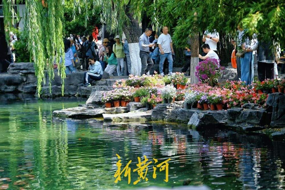 鲜花映清泉，无忧泉尽显泉城初夏风情