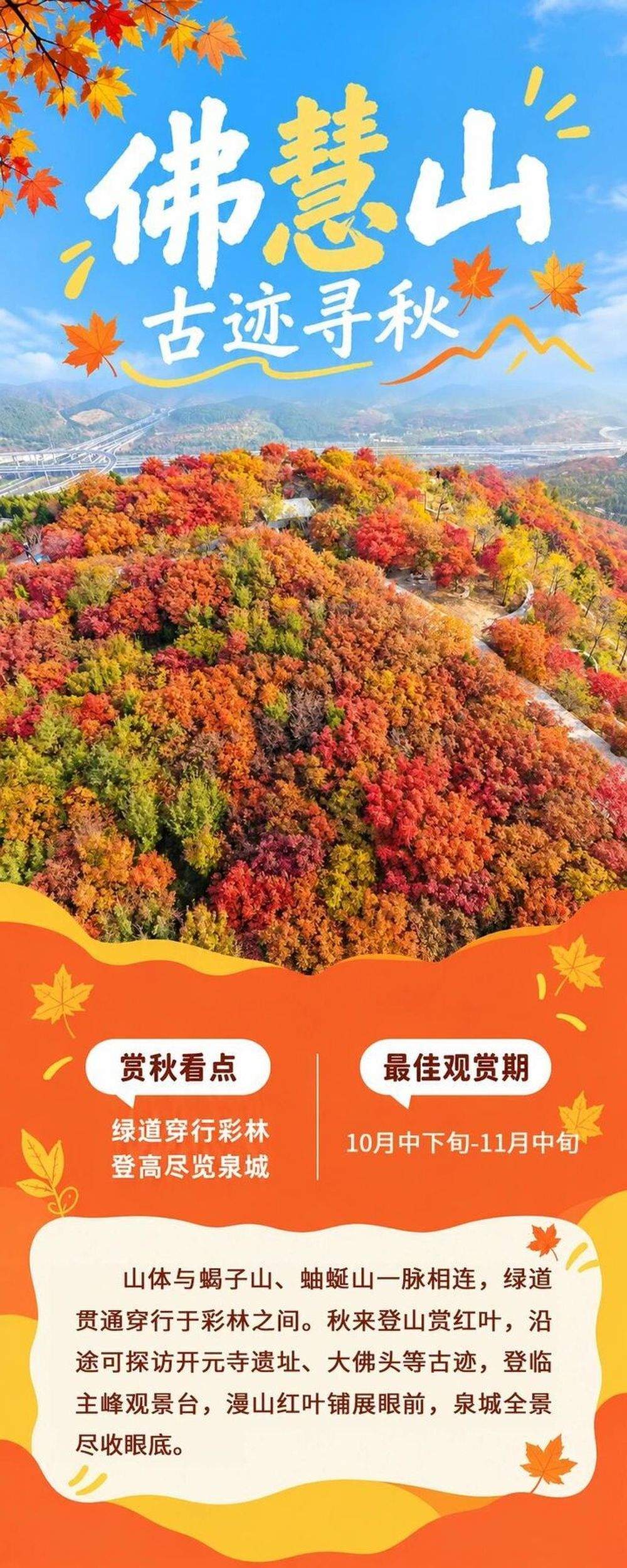 现在出发正当时！泉城红叶迎来最佳观赏期