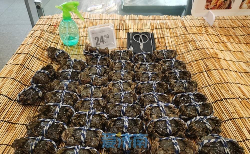 大闸蟹即将批量上市，济南市场9成以上是南方蟹