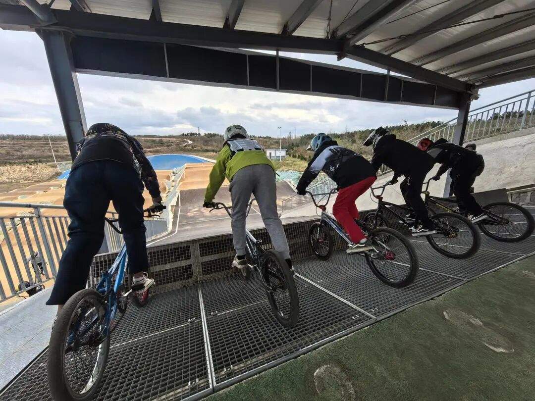 省情研究所|片区化推进乡村振兴的山东实践:从“连片”向“深融”