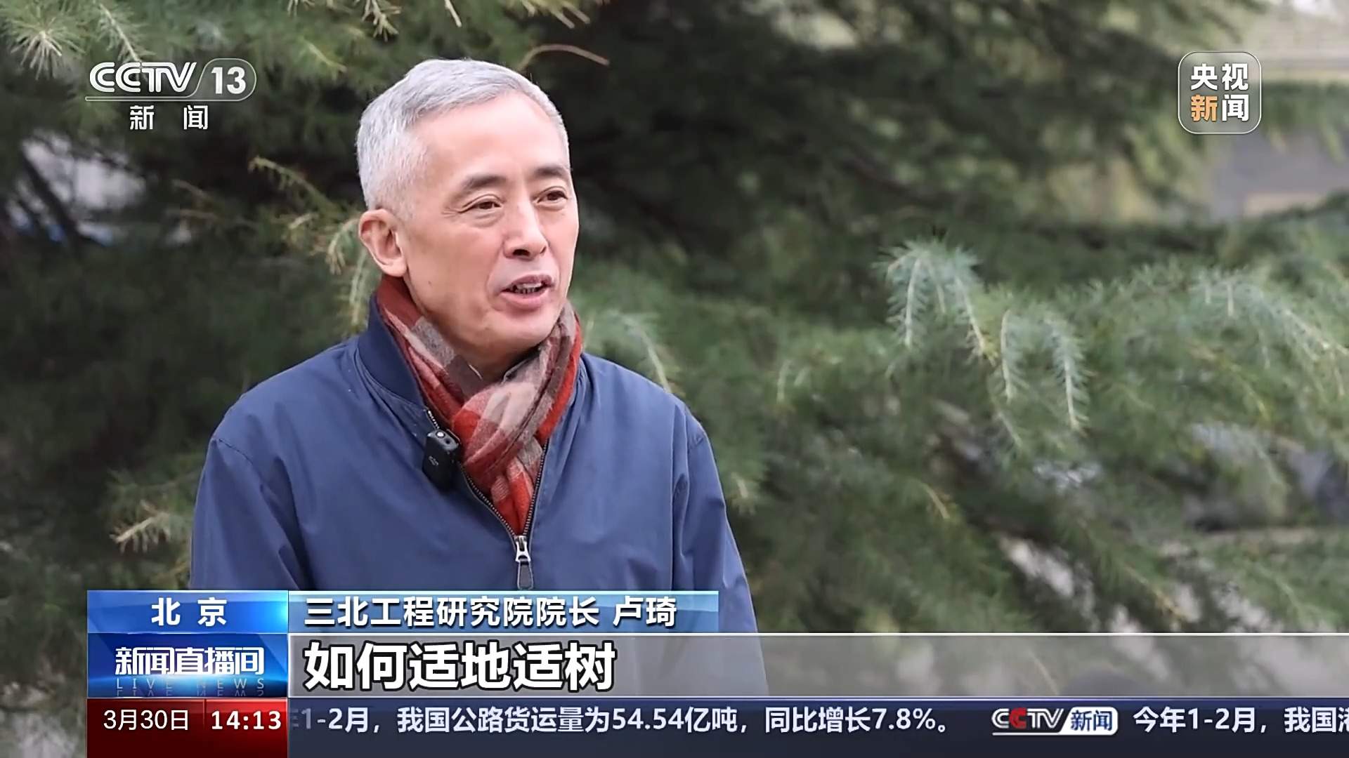 科学绿化、合理配置 良种壮苗“助阵”三北工程攻坚战