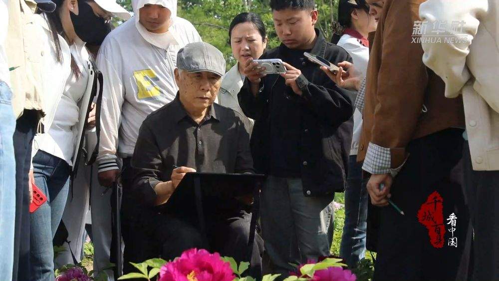 千城百县看中国·赏花季｜山东巨野：牡丹盛开 工笔凝芳