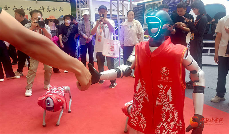 庆阳农文旅融合发展破解旅游短板 邀客商投资美丽乡村共赢未来