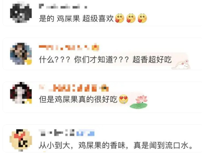 中国名字最难听的水果在这 广东“鸡屎果”申请出战！