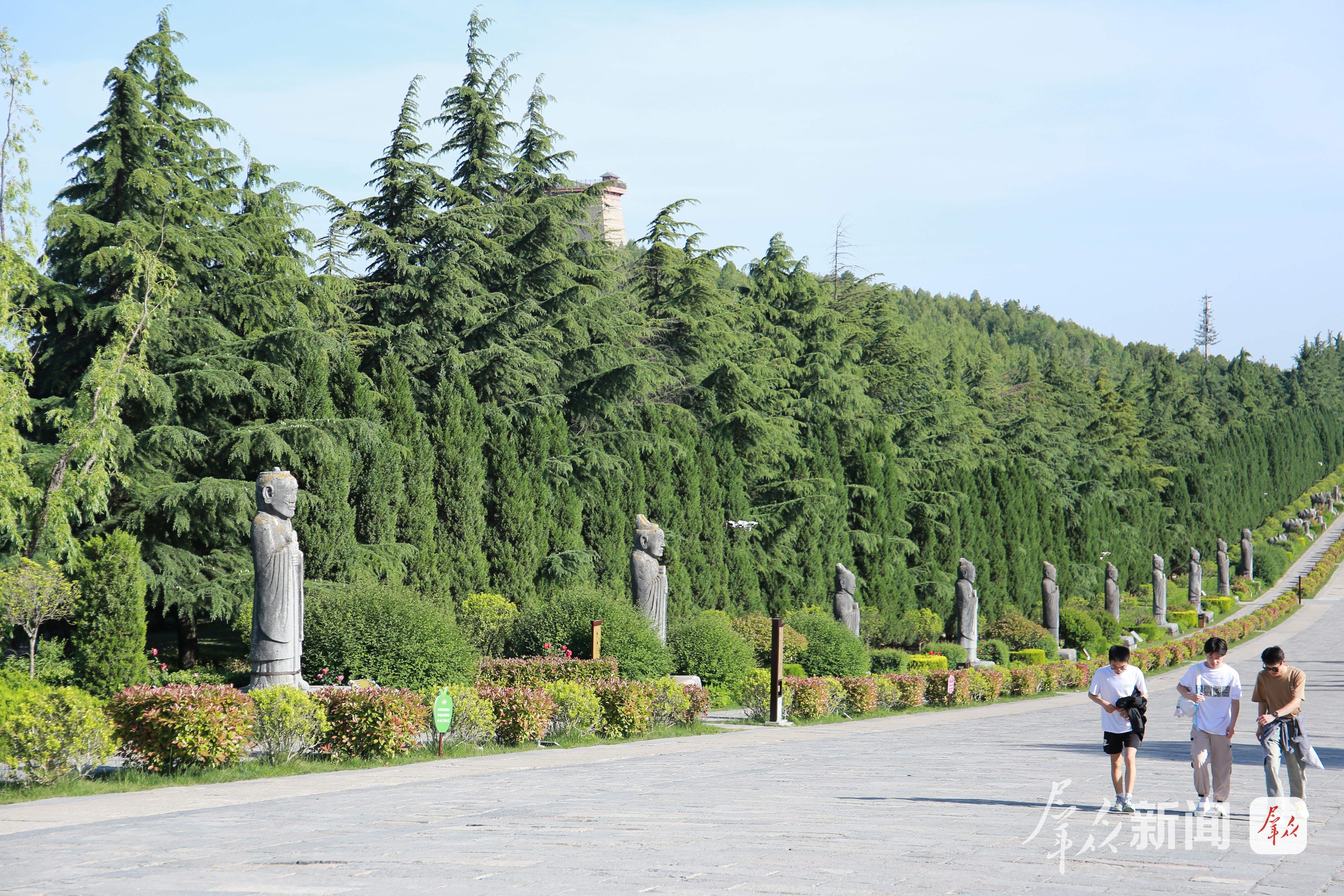 增强绿色发展新动能 描绘美丽陕西新画卷